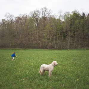 Field was huge for us to explore