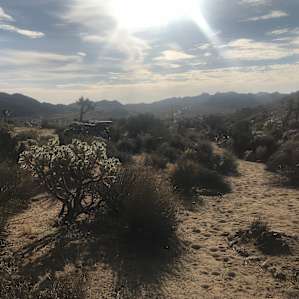 Taken from the neighboring site, looking towards our campsite and the valley view below.