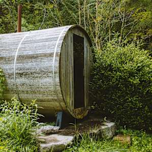 Their backyard sauna!