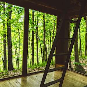 First view upon entry into the hut. Very exposed, allowing for a deeper connection with nature.