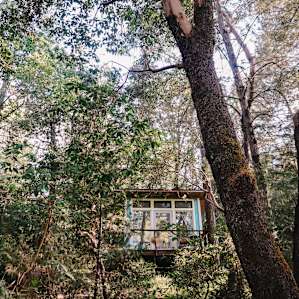 Serene cabin tucked in the woods.