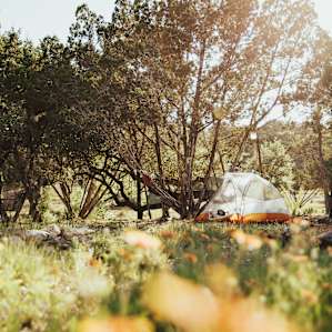 set up your tent in the wildflowers