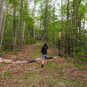 Plenty of space at the top of the hill for exploring.
