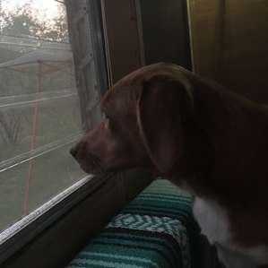 Looking out the camper