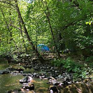 #12 Private Camping along Creek