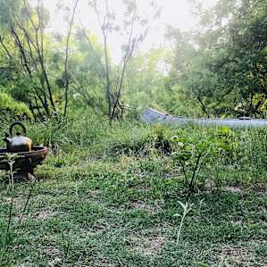 Camping at Low Gear Farmstead