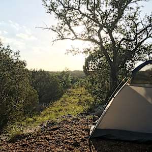 Little Haven - Wimberley, TX