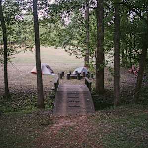 A wider view of where we set up our tents.