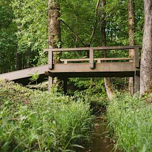 Natural springs run throughout the property.