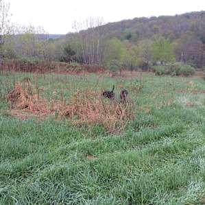 Wandering Acres