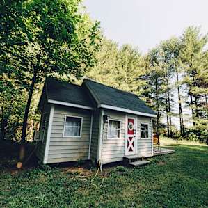 cabin forest lodging