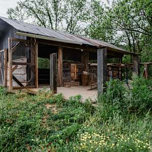 Exterior of the bungalow, for a more "glamping" experience.