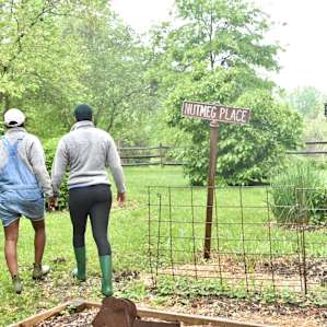 Exploring some of the garden post rain storm.