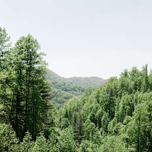 Get your fill of fresh air + mountain views :)