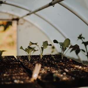 We got to a sneak peek to summer's bounty.