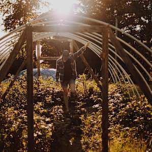 Exploring the old and larger of the greenhouse.