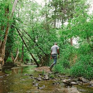 A creek that cooled off our feet and keep the animals hydrated.