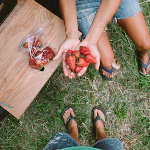 Fresh picked strawberries are perfect for camping!