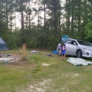 County Rd 36 Forest Camping