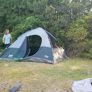 County Rd 36 Forest Camping