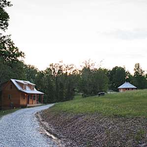 cabin forest lodging