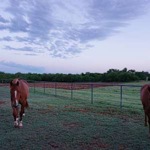Luxury lodging at aKa Stables