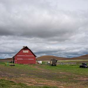 View of the farm.