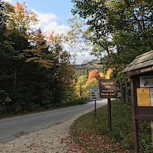 Road connecting campground & Zealand Trail.