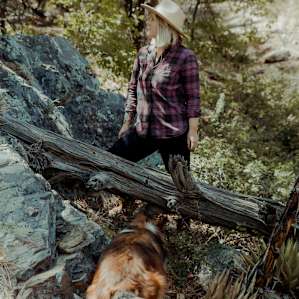 forest dog animal
