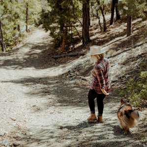 forest hiking dog