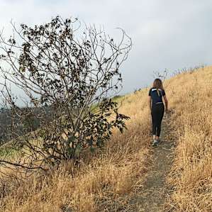 Exploring the hill.