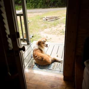 The dogue was happy to enjoy the front porch (leashed, to ensure he didn't run straight back to the mud wallow he'd found).