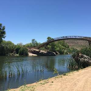 We saw so much wildlife in this area! A man-made lake in the desert attracts them for miles.