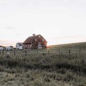 Palouse Stargazing TentCamp