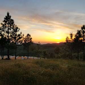 Secluded Vineyard Walk-In (Site 3)