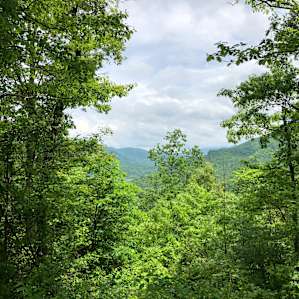 Amazing views