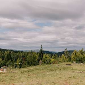 The owner owns this huge property right next to the cabin, and she has big plans in store for it! We are excited to come back when it is all done!