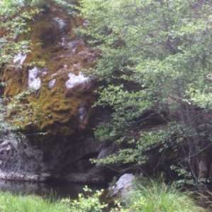 Deerlick Springs Campground