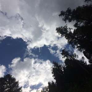 Deerlick Springs Campground