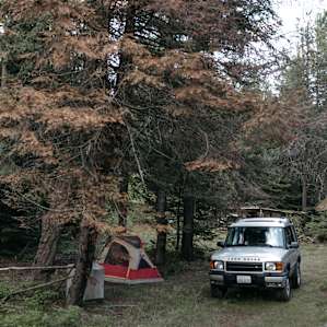 tent forest lodging