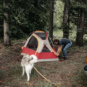 tent forest people