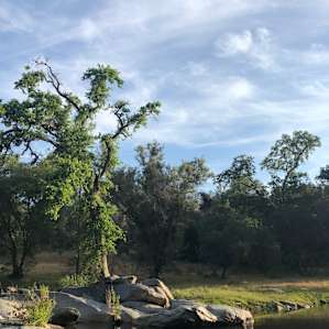 Waking up to this was unreal. Such a beautiful spot.