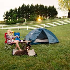 tent people dog