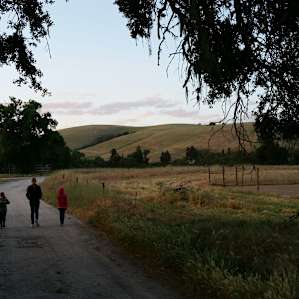 Pioneer Home Farms