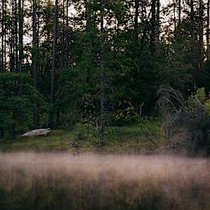 Some nice fog in the am on the pond across the street.