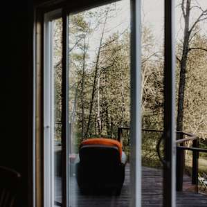 cabin forest lodging