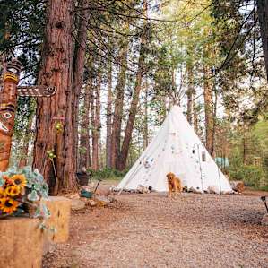 The Tipi and the Totem pole! Love it! PS: Pets no longer allowed, unfortunately! PS: Pets no longer allowed, unfortunately!