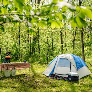 This is one of the campsite options and it was beautiful! Tucked right into the woods near the creek and very private.