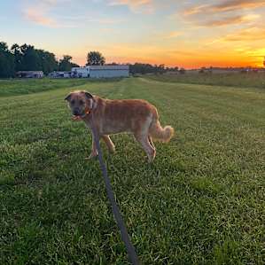 Keanu and the beautiful sunset.