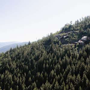 forest mountain